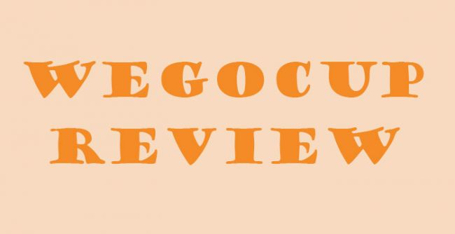 Wegocup Review: Domain Shift, and Current Use