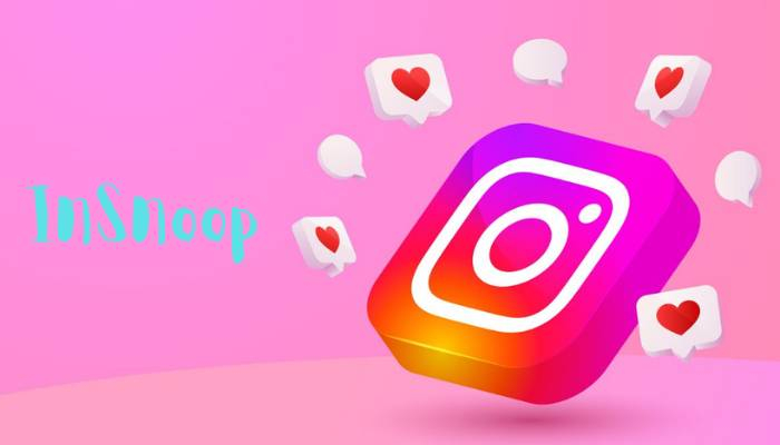 InSnoop.com: A Niche Instagram Story Viewer—Useful Tool or Risky Shortcut?