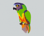 Senegal Software