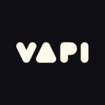 Vapi AI